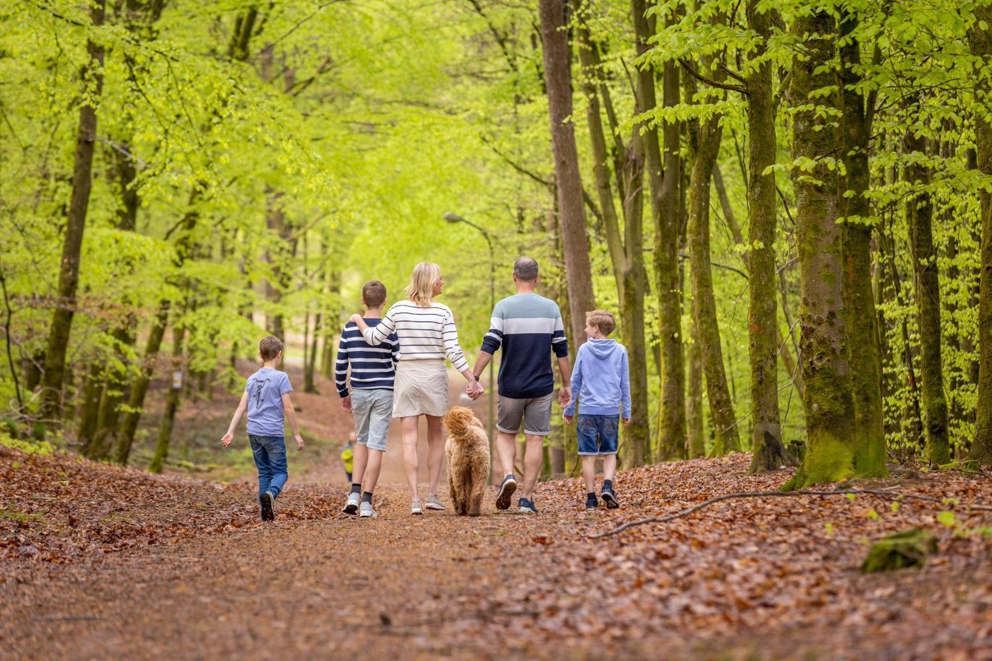 Ardennen Camping Bertrix Luaran gambar